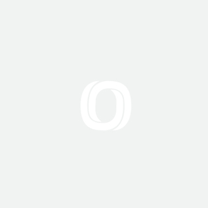 Perlindung Data Peribadi (DPO)